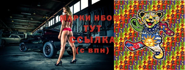 стаф Абаза