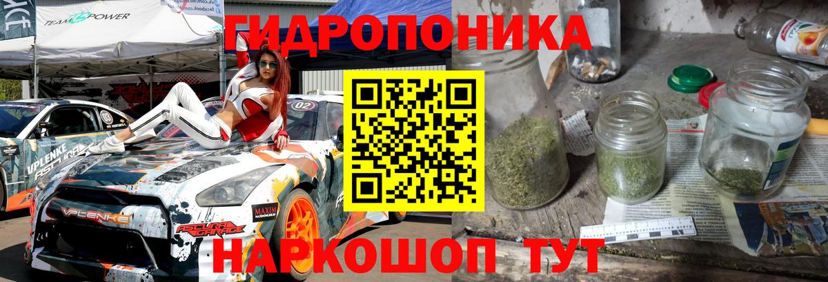 Прохладный  Конопля MAZAR  Вход с VPN  Канабис семена 